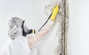 Best Mold Documentation for Insurance Claims  in La Pine, OR